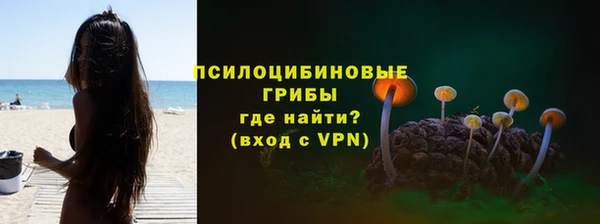 прущие грибы Армянск