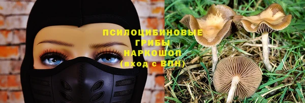 a pvp Покачи